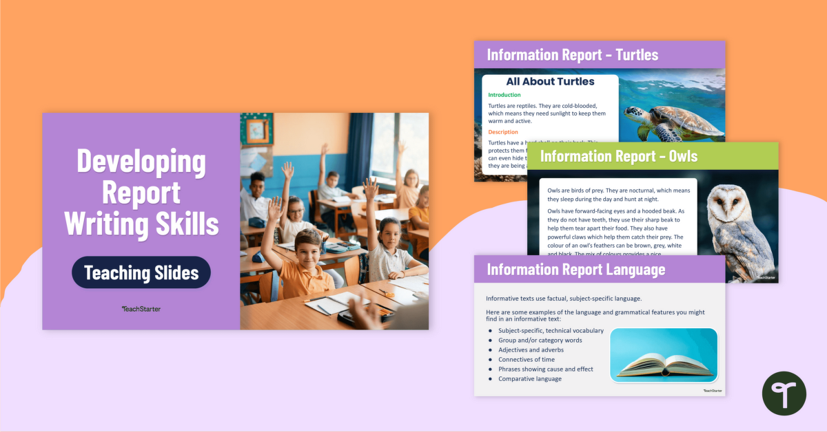 Developing Report Writing Skills Teaching Slides teaching resource