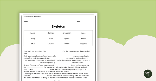 Preview image for Skeleton Cloze Worksheet - teaching resource