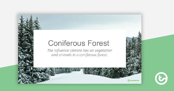 Preview image for Coniferous Forest PowerPoint - teaching resource