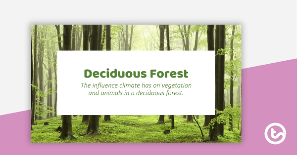 Go to Deciduous Forest PowerPoint teaching resource