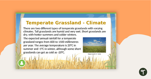 Temperate Grassland PowerPoint teaching resource