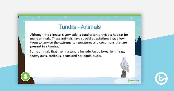 Tundra PowerPoint teaching resource
