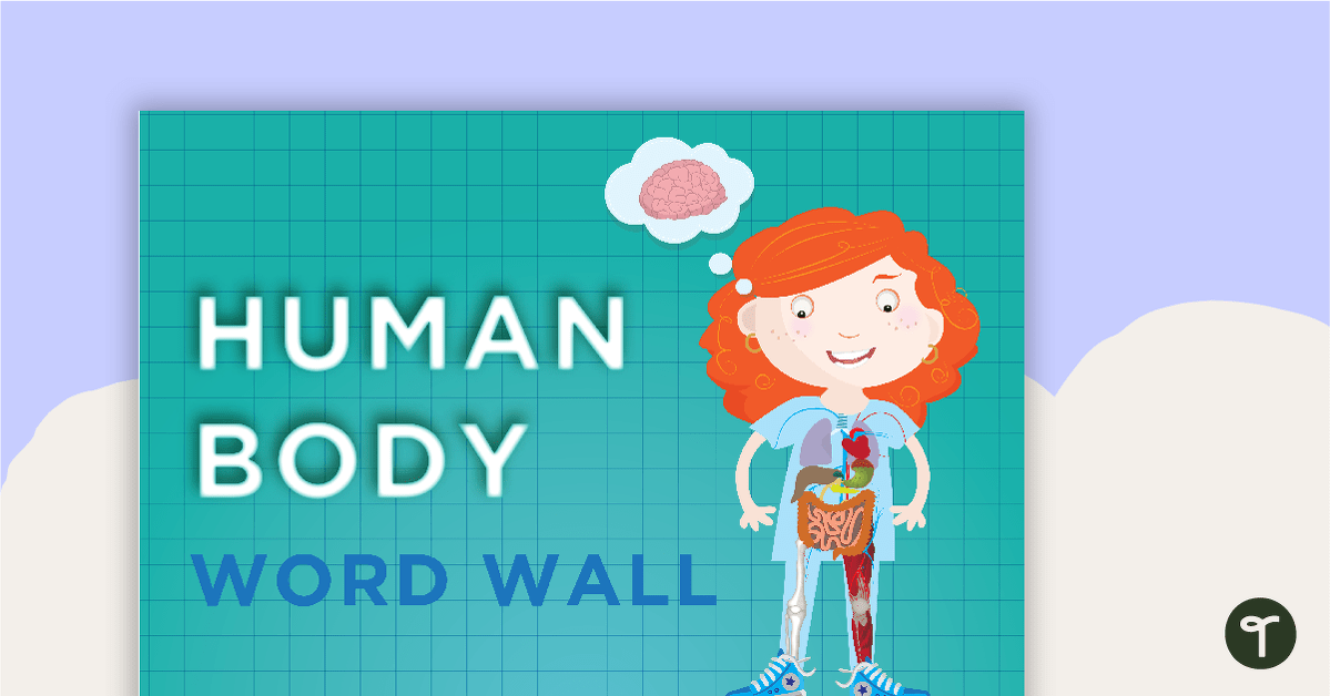 Nervous System Word Wall Vocabulary teaching resource