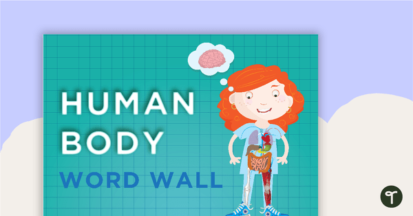 Go to Nervous System Word Wall Vocabulary teaching resource