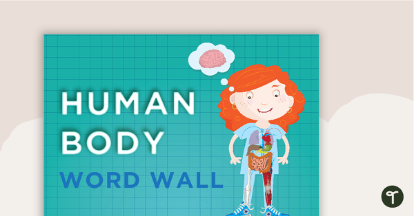 Go to Respiratory System Word Wall Vocabulary teaching resource