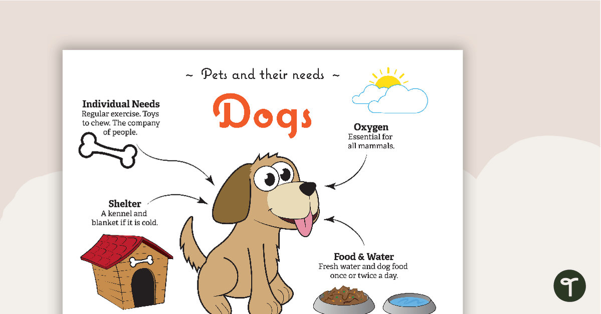 Pets and Their Needs Posters