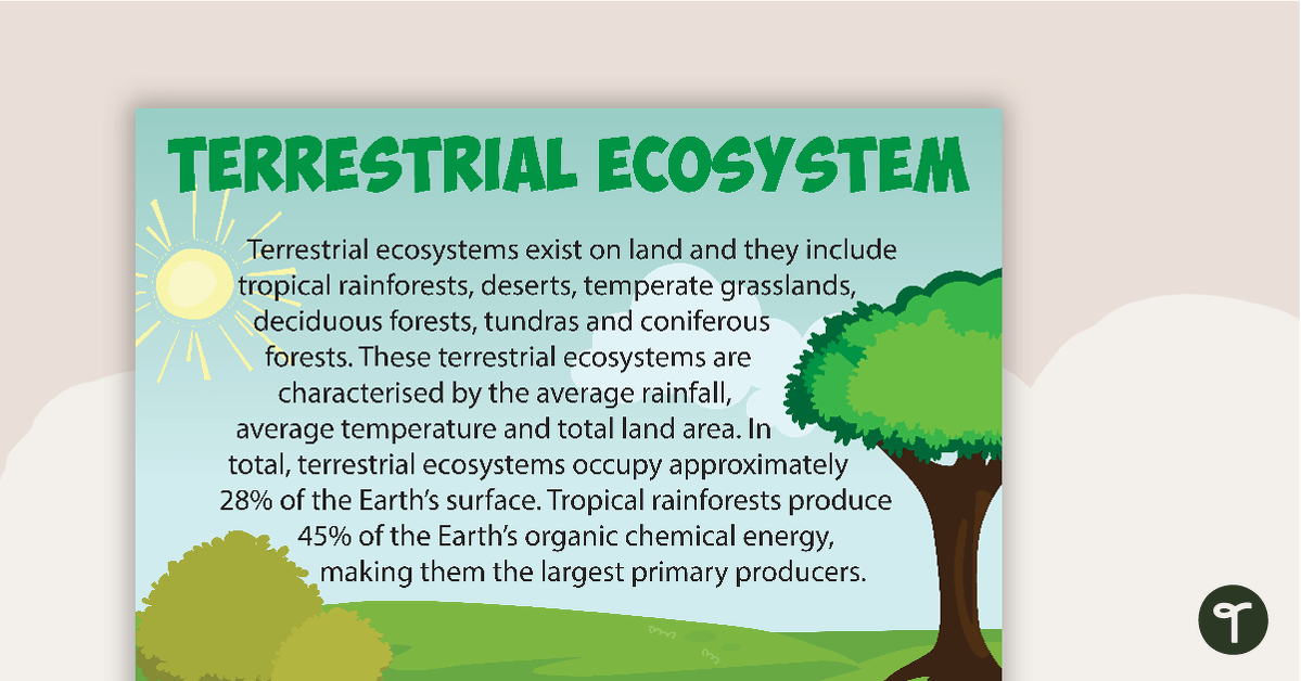 Terrestrial Ecosystems Poster teaching resource