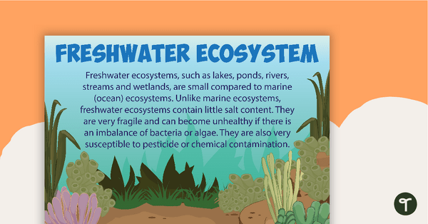 Preview image for Freshwater Ecosystems Poster - teaching resource