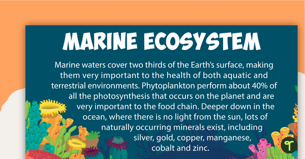 Marine Ecosystem Poster teaching resource