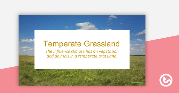 Go to Temperate Grassland PowerPoint teaching resource