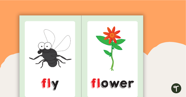 Preview image for Fl Blend Flashcards - teaching resource