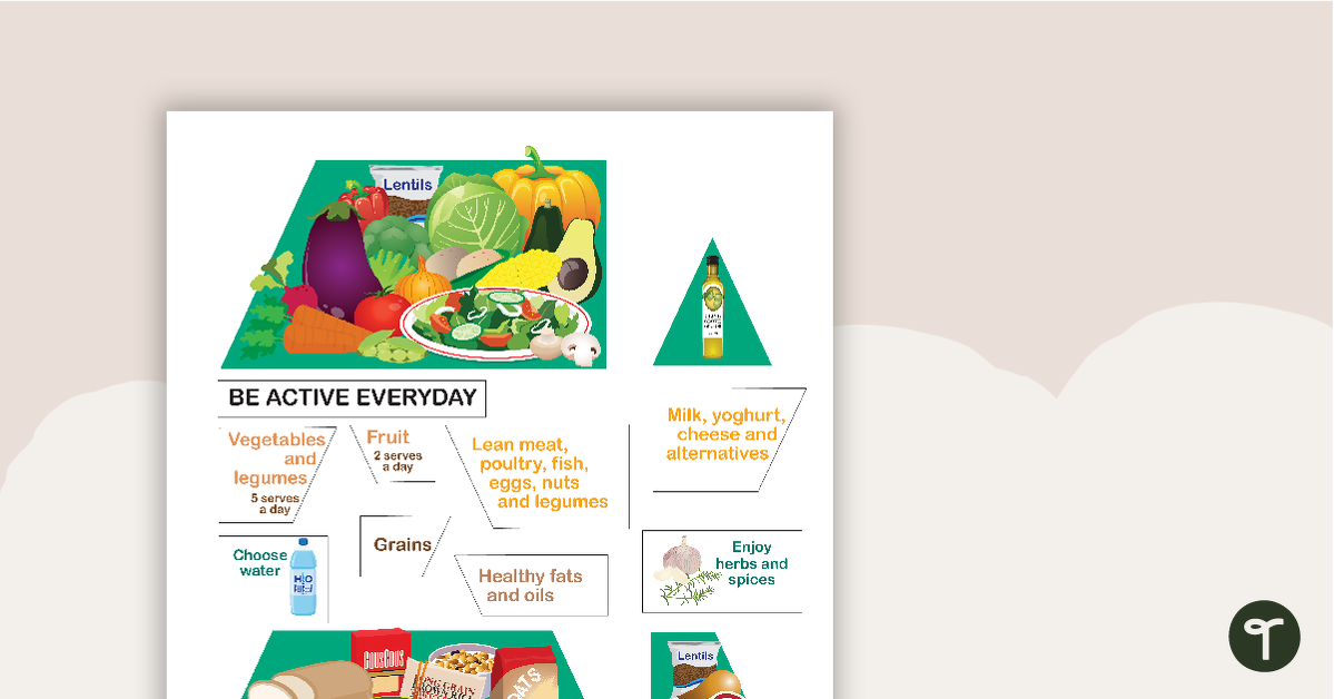 Food Pyramid Cut Out Activity teaching resource