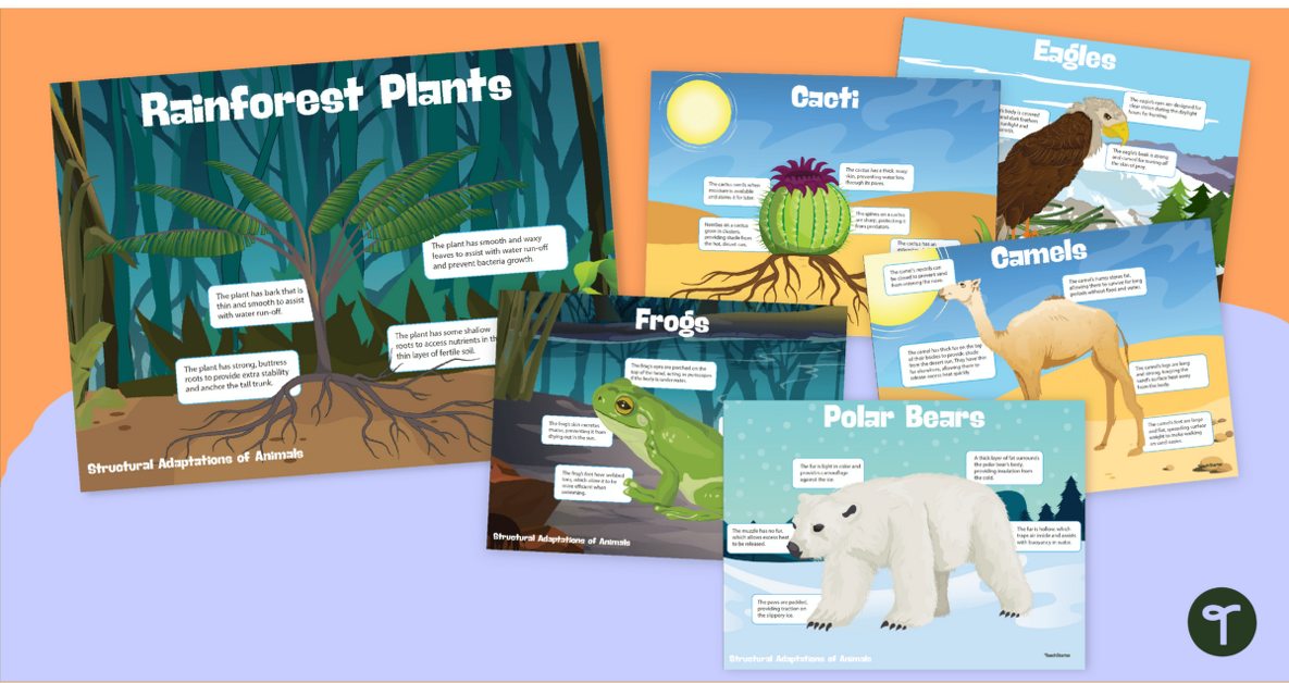 Plant and Animal Adaptations - Structural Adaptation Posters teaching resource