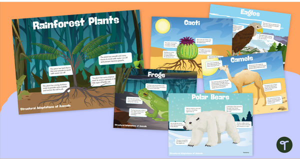 Image of Plant and Animal Adaptations - Structural Adaptation Posters