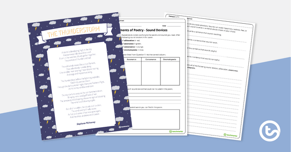 Image of Elements of Poetry Worksheet - Sound Devices