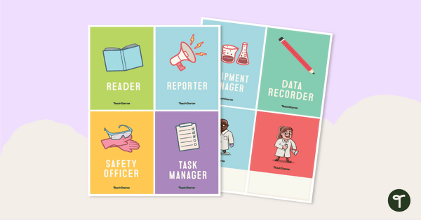 Preview image for Science Job Description Cards - teaching resource