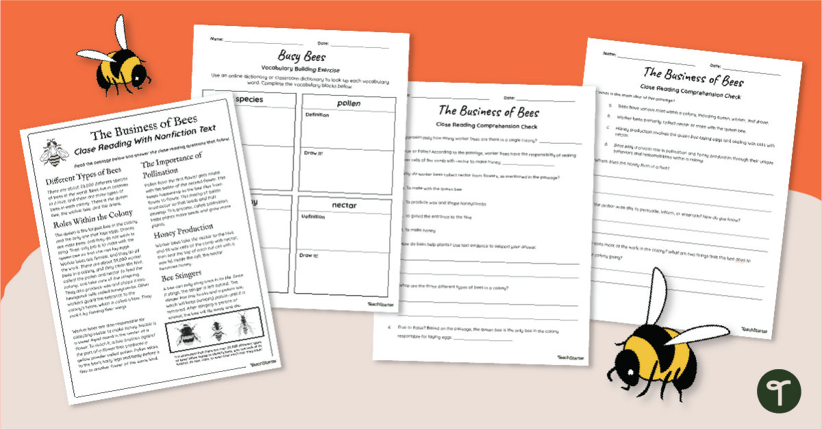 Reading Worksheets - The Business of Bees (5th Grade) teaching resource
