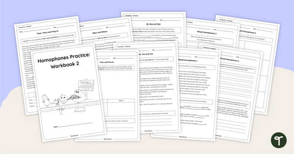 Image of Homophones Practice Workbook 2