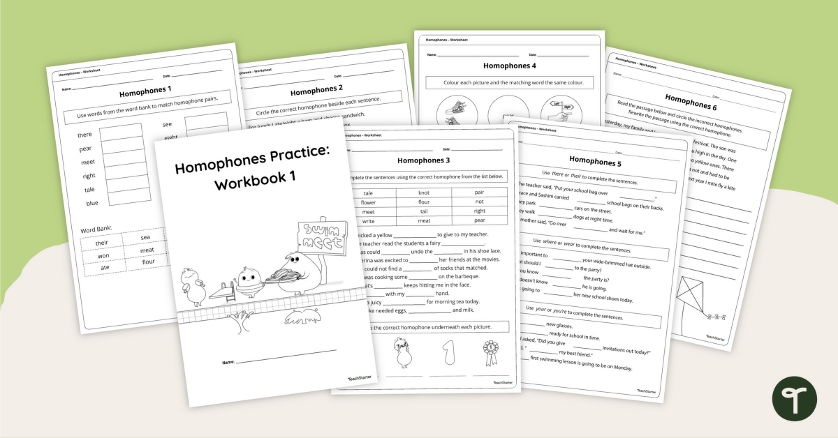 Homophones Practice Workbook 1 teaching resource