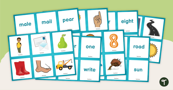 Go to Homophones Match-Up Cards teaching resource