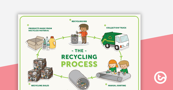 Go to The Recycling Process Poster teaching resource