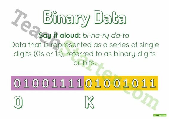 Binary Data Poster teaching resource