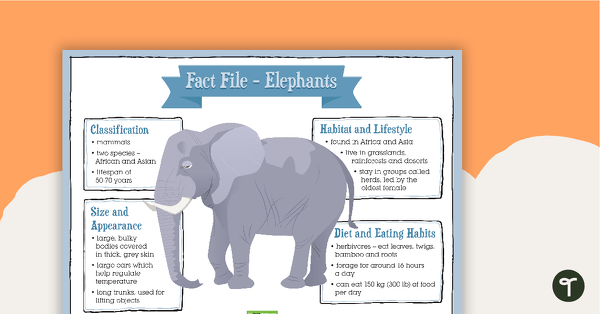 Go to Fact File Pack - Animals, Objects and People teaching resource