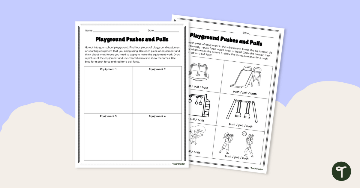 Forces in the Playground Worksheet teaching resource