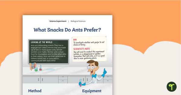 Preview image for Science Experiment - What Snacks Do Ants Prefer? - teaching resource