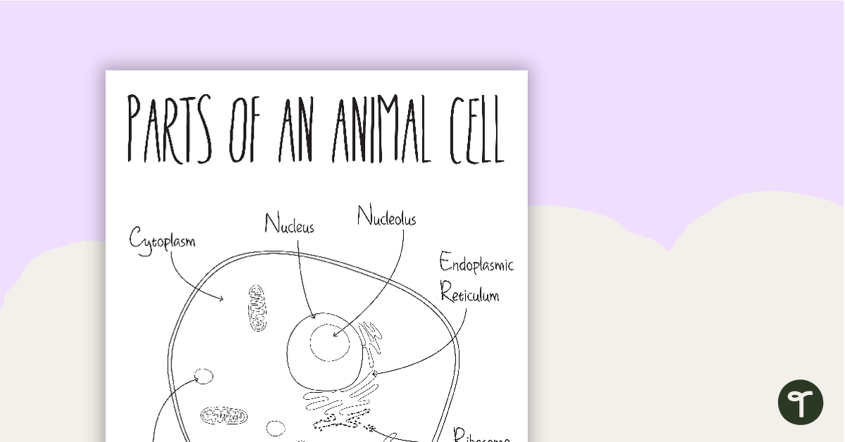 Parts of an Animal Cell Poster BW teaching resource