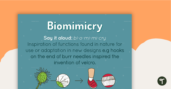 Go to Biomimicry Poster teaching resource