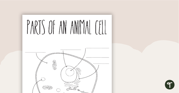 Image of Parts of an Animal Cell - Blank