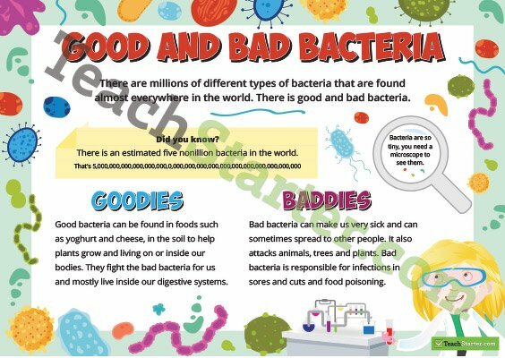 Microorganisms - Good and Bad Bacteria Poster teaching resource