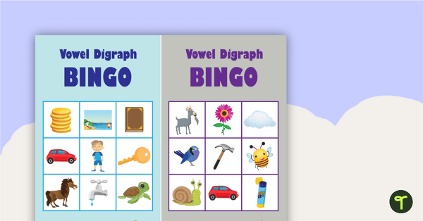 Go to Vowel Digraph Bingo teaching resource