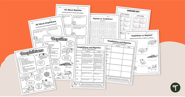 Amphibians and Reptiles Worksheets and Posters Pack teaching resource