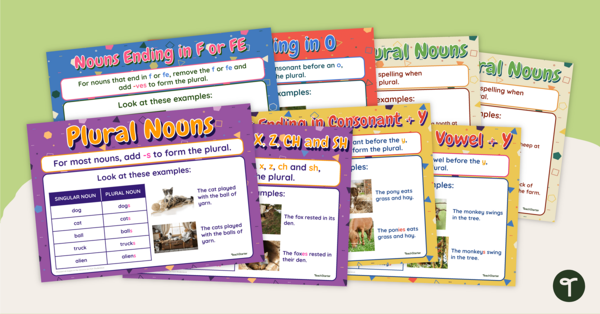 Plural Rules Poster Pack teaching resource
