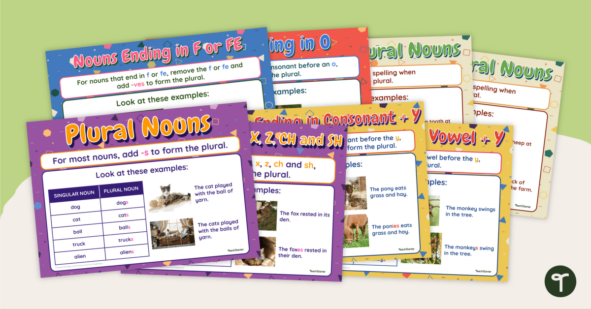 Plural Rules Poster Pack teaching-resource