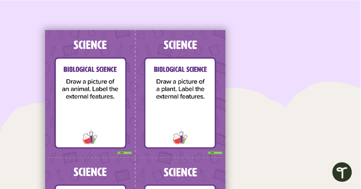 Fast Finisher Science Task Cards - Year 1 teaching resource