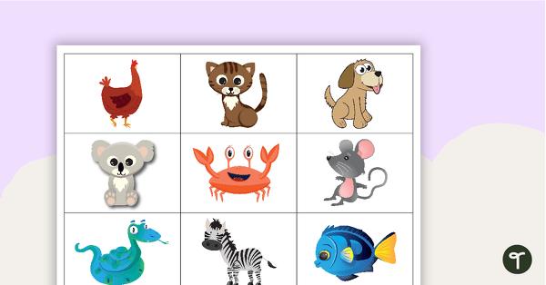Go to Animal Memory Game teaching resource