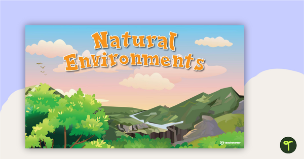 Introduction to Environments Poster Set teaching resource