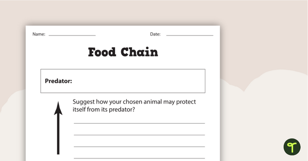 Basic Food Chain Worksheet teaching resource