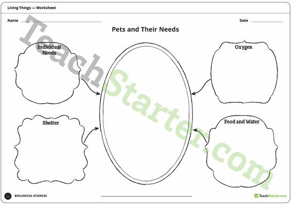 Pets and Their Needs - Worksheet teaching resource