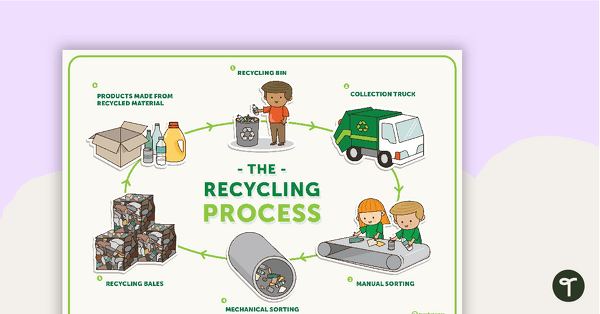 Preview image for The Recycling Process Poster - teaching resource