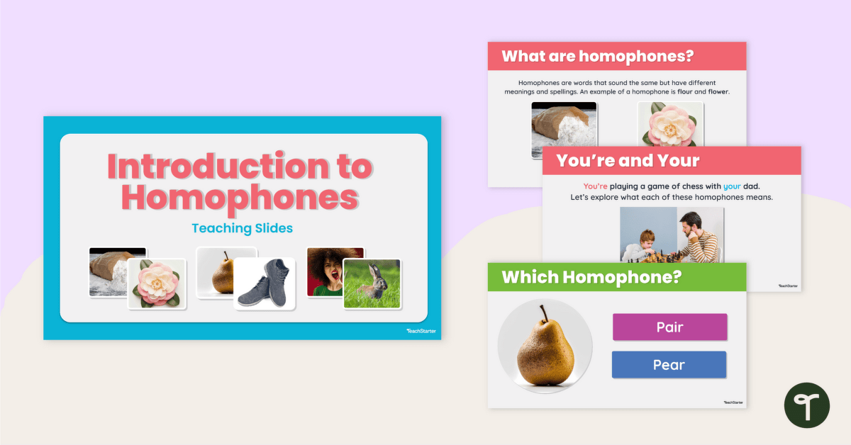 Introduction to Homophones Teaching Slides teaching resource