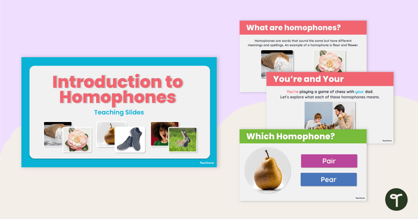 Go to Introduction to Homophones – PowerPoint teaching resource