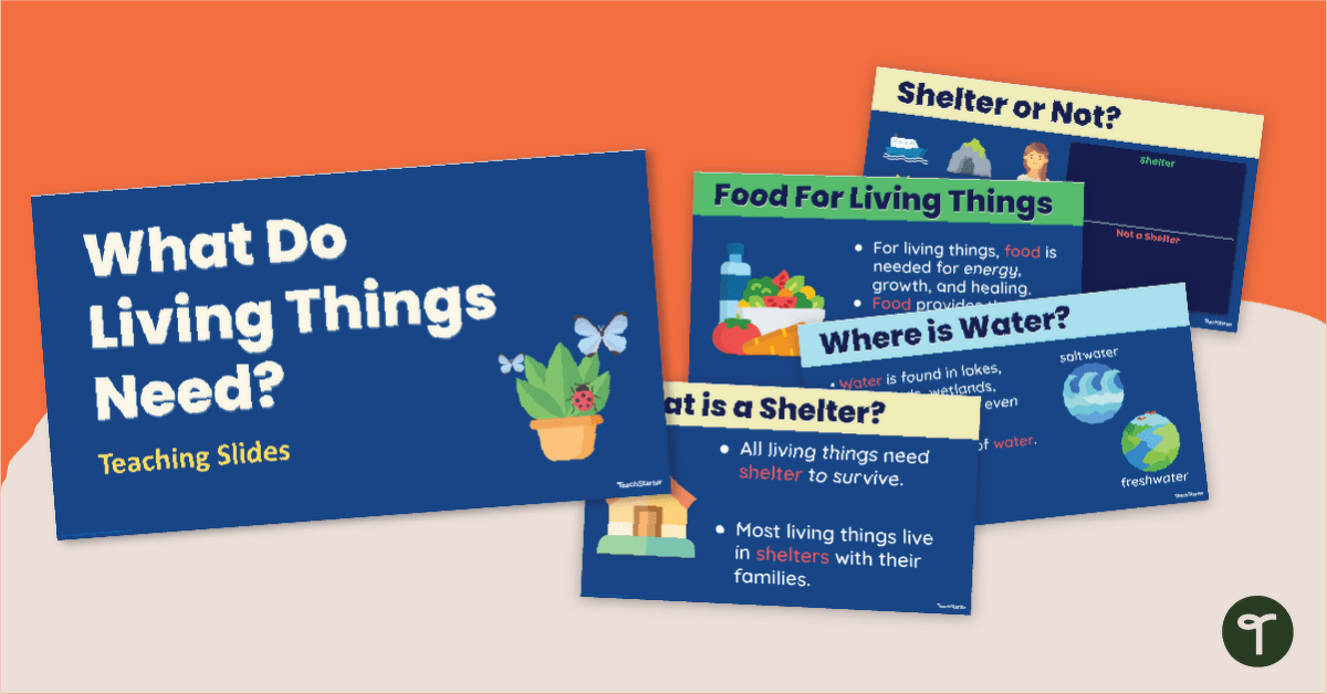 What Do Living Things Need to Survive? PowerPoint teaching resource