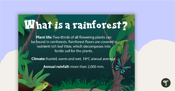 去What is a Rainforest? Poster teaching resource