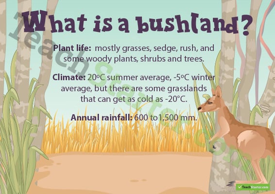 What is a Bushland? Poster teaching resource