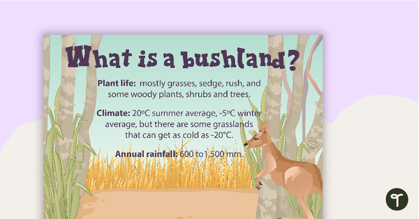 Go to What is a Bushland? Poster teaching resource