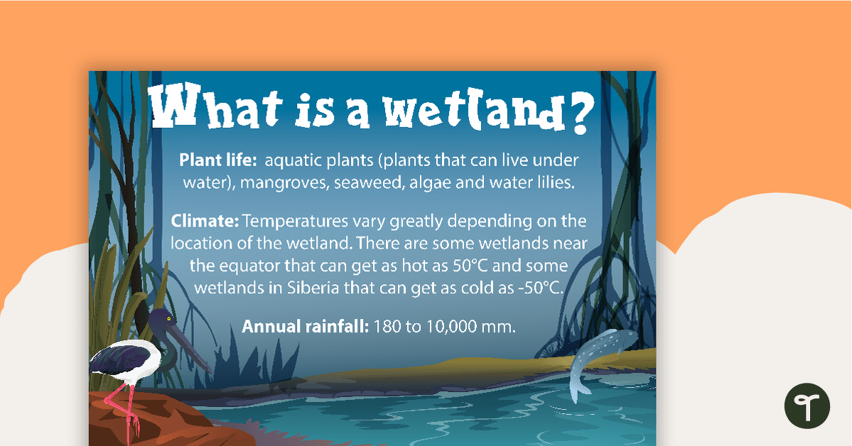 What is a Wetland? Poster teaching resource